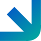 Vector 4